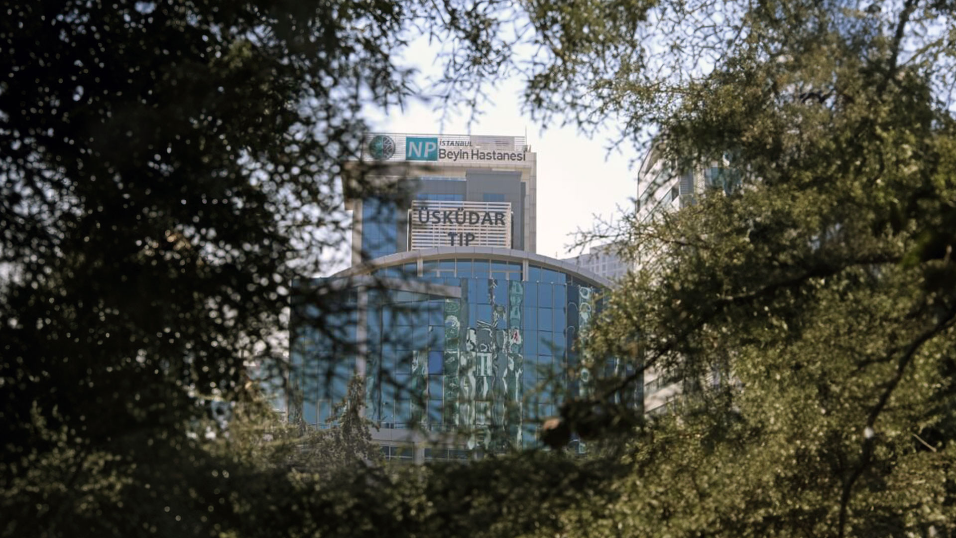 Faculty of Medicine NP Campus